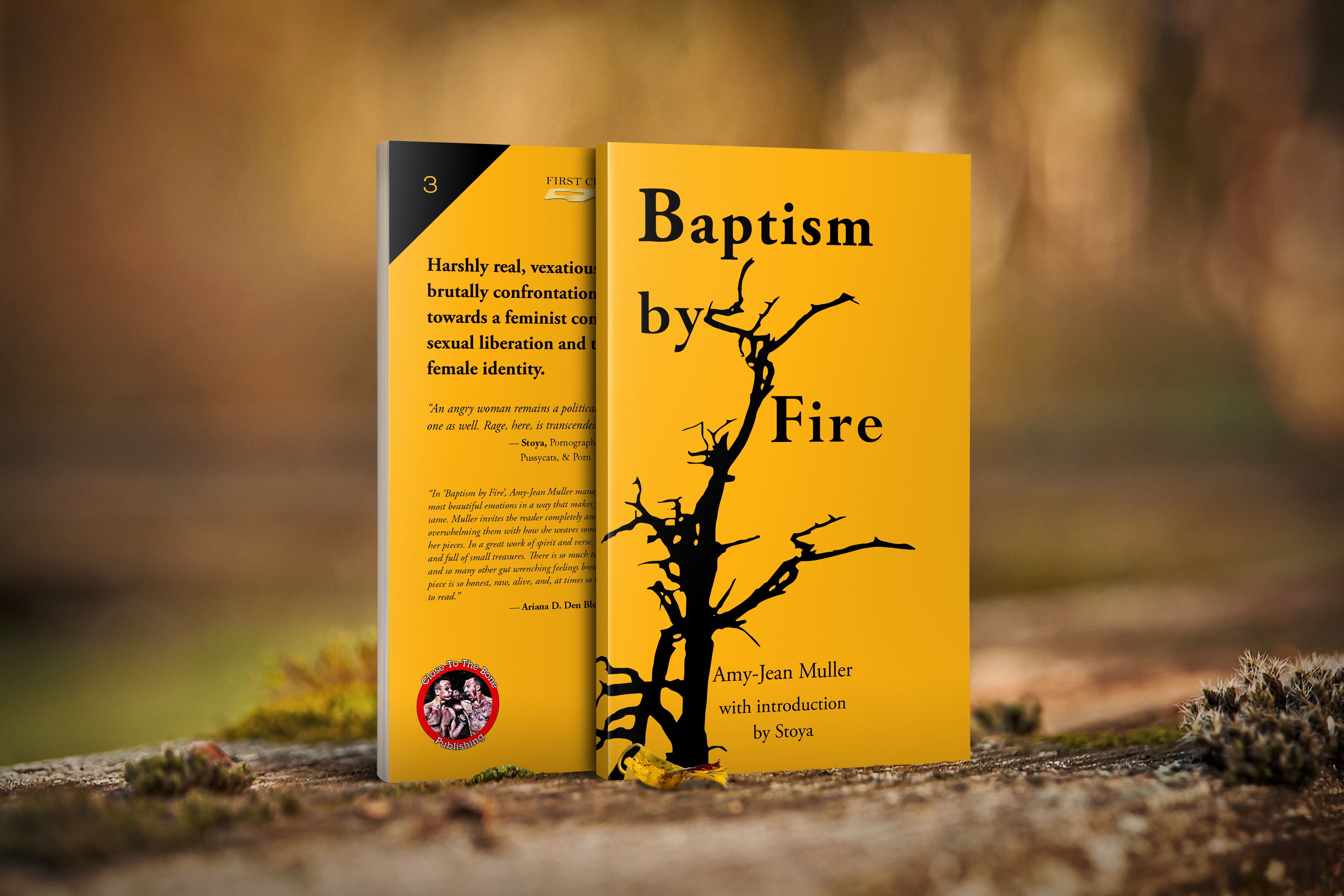Baptism by Fire by Amy-Jean Muller 