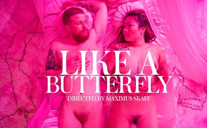 an erotic film cover from 'Like a Butterfly' on XConfessions by Erika Lust