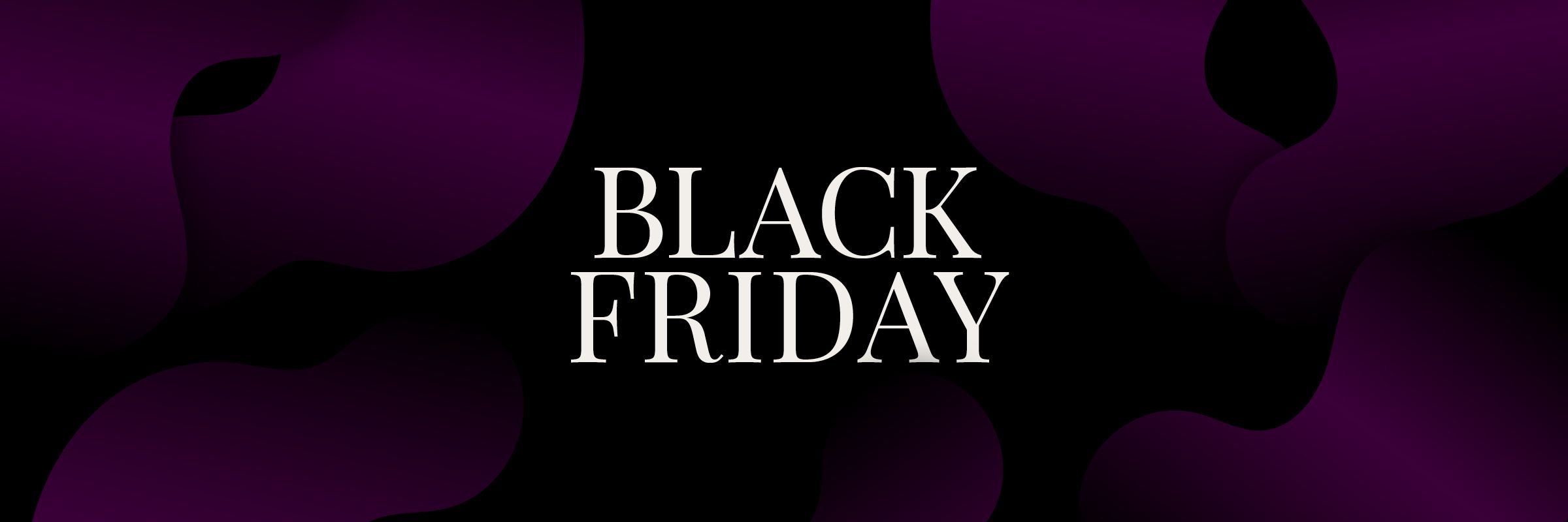 black friday banner 