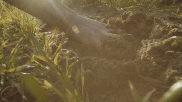 gif video placeholder image