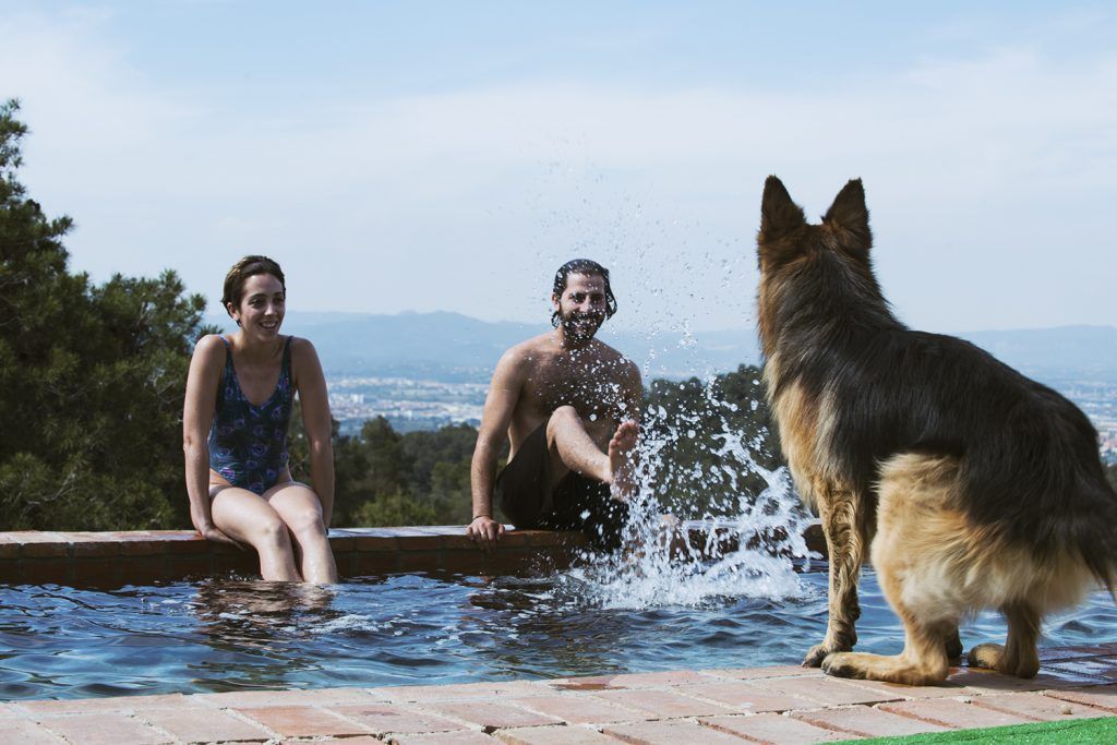 explicit short film Sweet But Psycho on XConfessions 