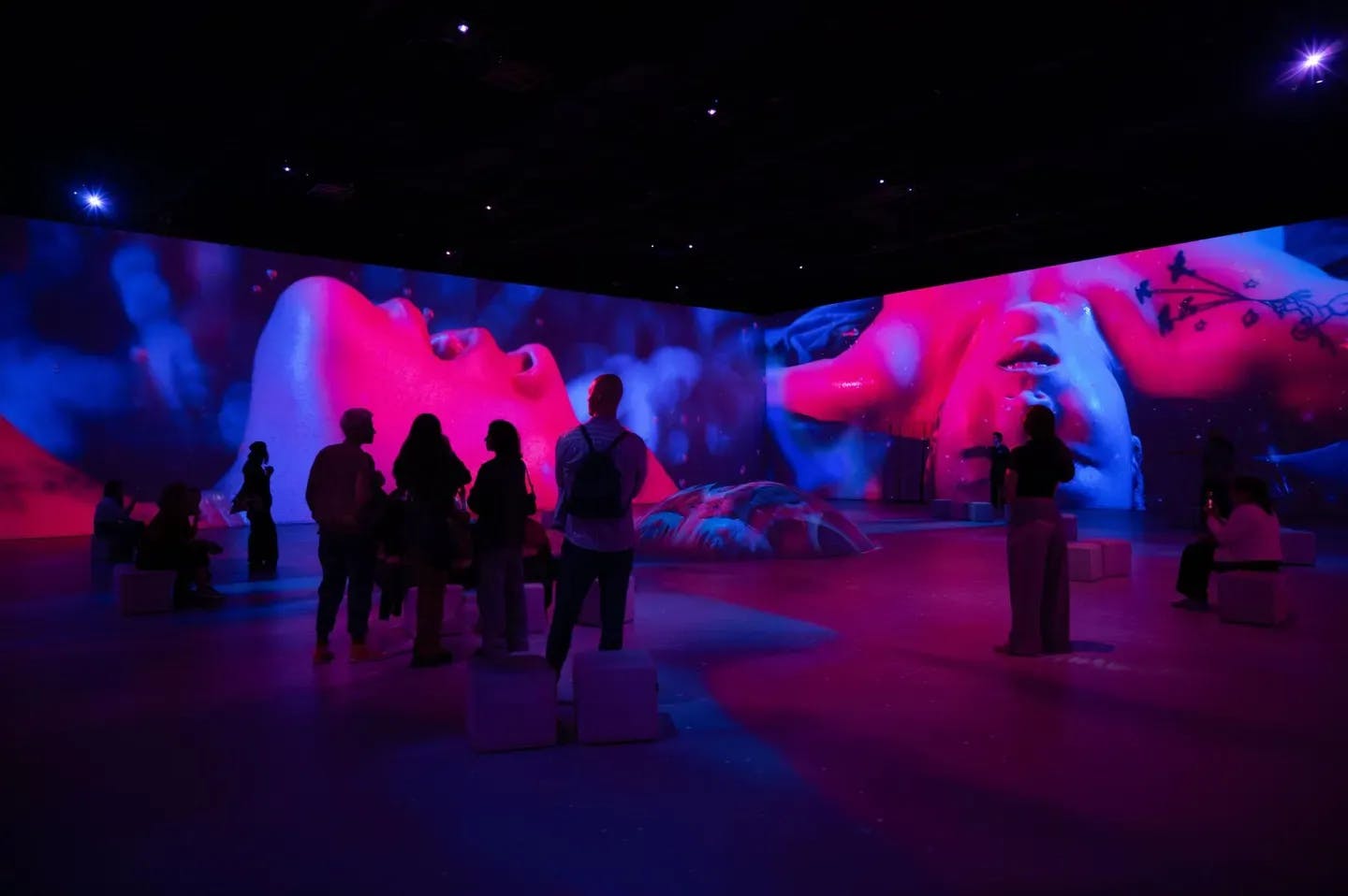 Erika Lust Combats ‘Porn Panic’ By Bringing Adult Into The Light With House Of Erikalust