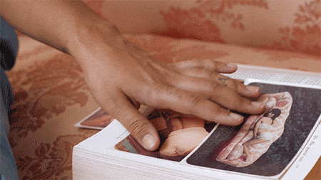 gif video placeholder image