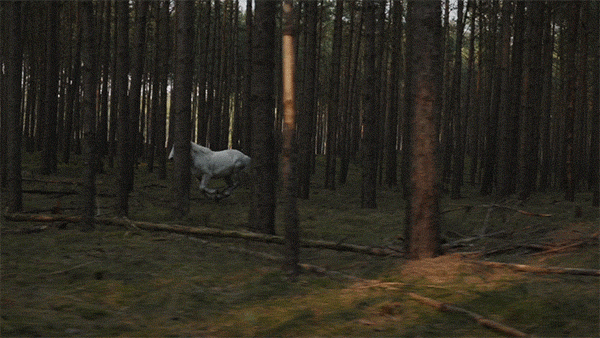 gif video placeholder image