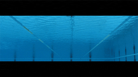 gif video placeholder image