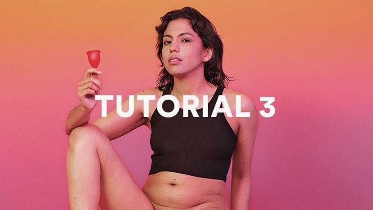 Menstrual Cup Porn - Watch One Girl One Cup: An Explicit Guide to Menstrual Cups